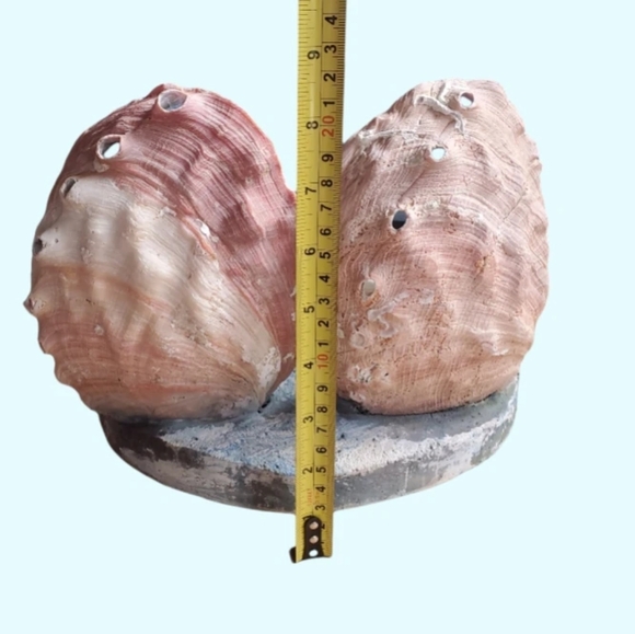 Large vintage seashell diorama / TV lamp - Picture 5 of 7